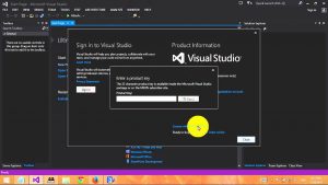 download visual studio professional 2022 key