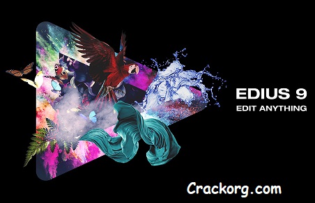 Grass Valley Edius 9.55 Crack Full Serial Number Free Download